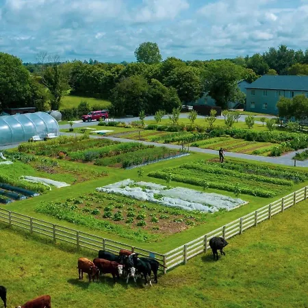 Fitzgeralds Woodlands House أدير