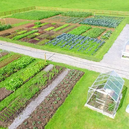 Hotel Fitzgeralds Woodlands House Adare