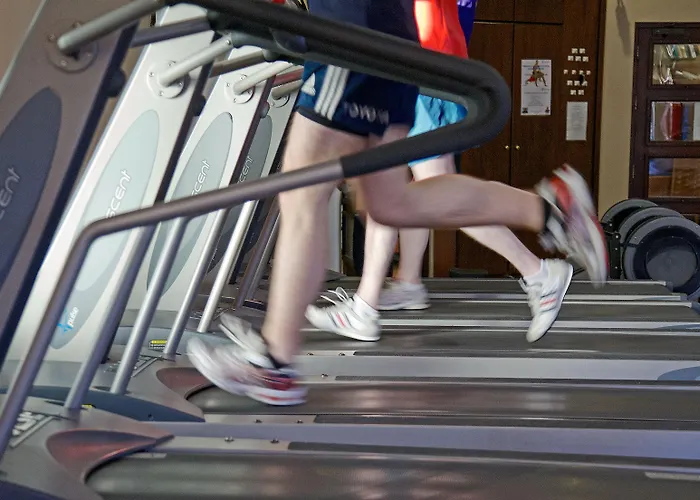 Fitzgeralds Woodlands House Hotel Adare