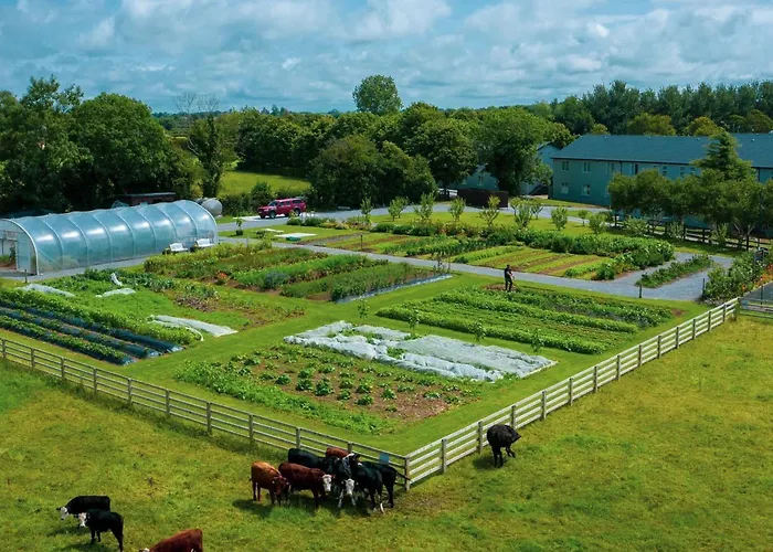 Fitzgeralds Woodlands House Адэр