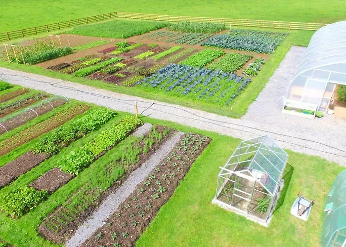 Отель Fitzgeralds Woodlands House Адэр